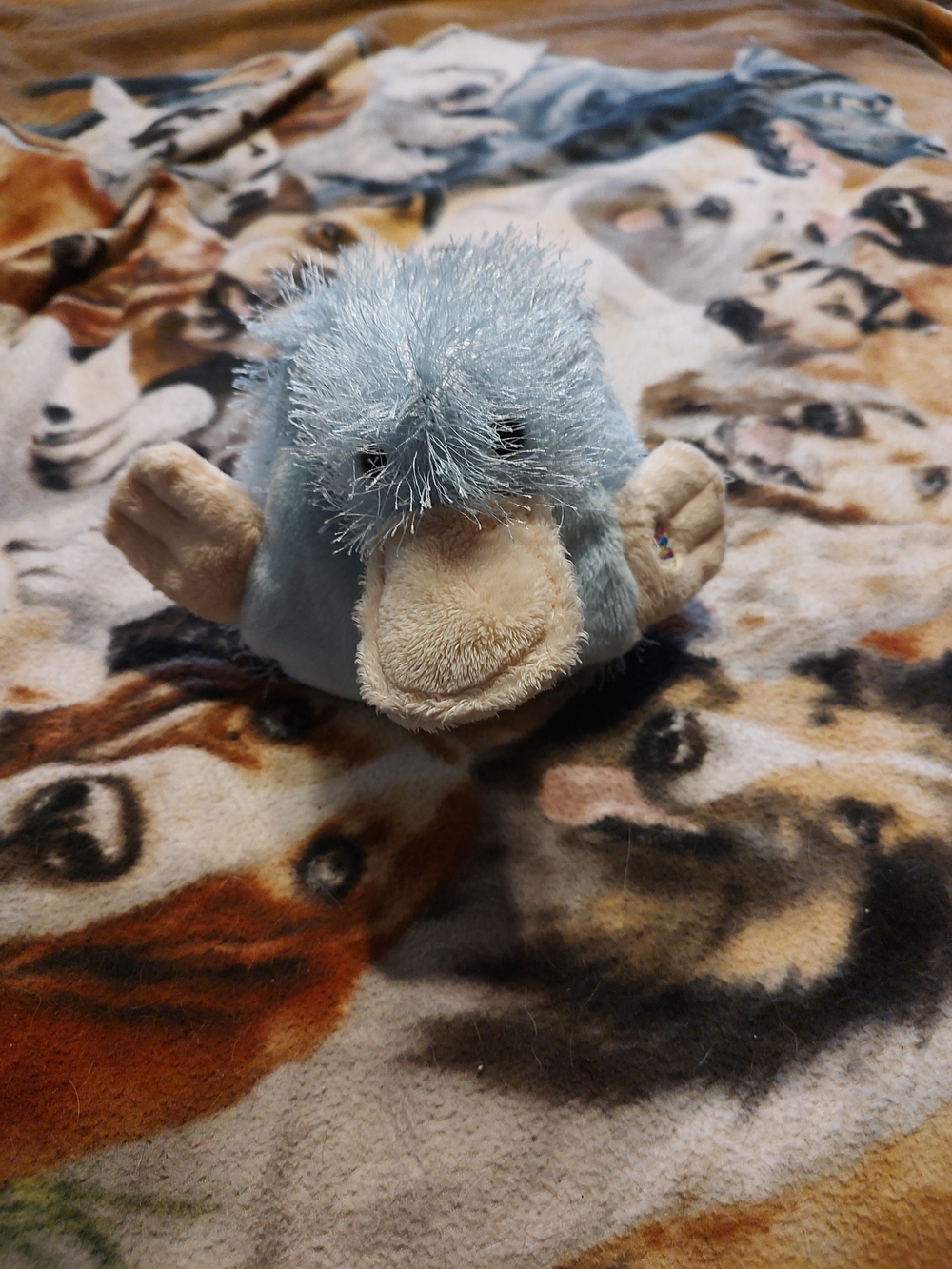 Blue Googles Webkinz